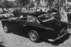 arnolt_17.jpg