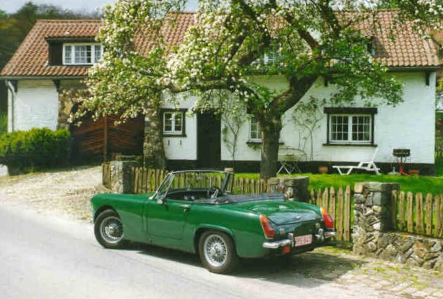 pic15.jpg