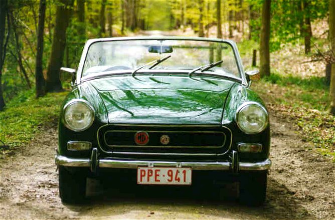pic21.jpg