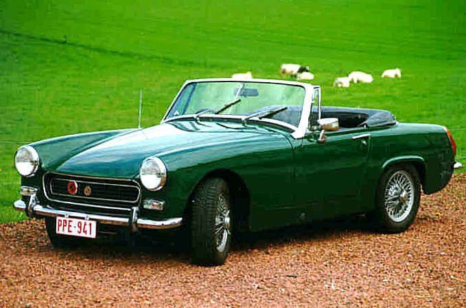 pic22.jpg