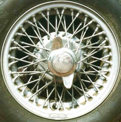 pic3.jpg