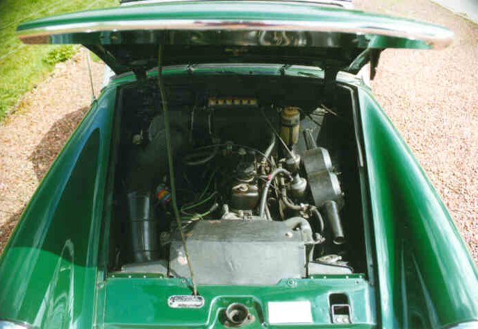 pic6.jpg
